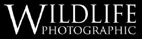 Wildlife Photographic Logo