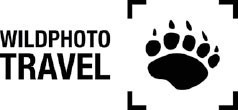 Wildphoto Travel Logo